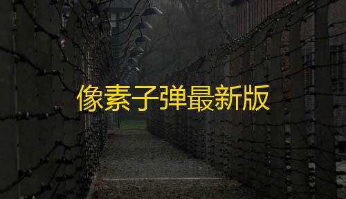 可以免费开挂的软件像素子弹最新版